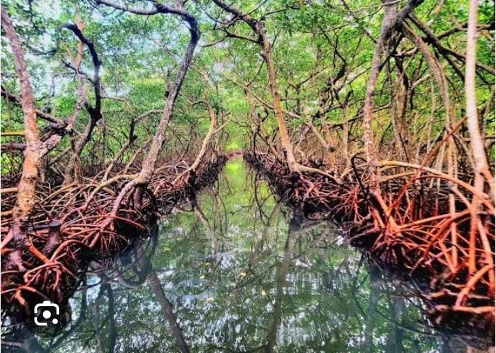 Marevel Tours gallery image