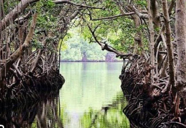 Marevel Tours gallery image