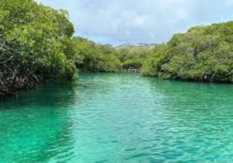 Marevel Tours gallery image