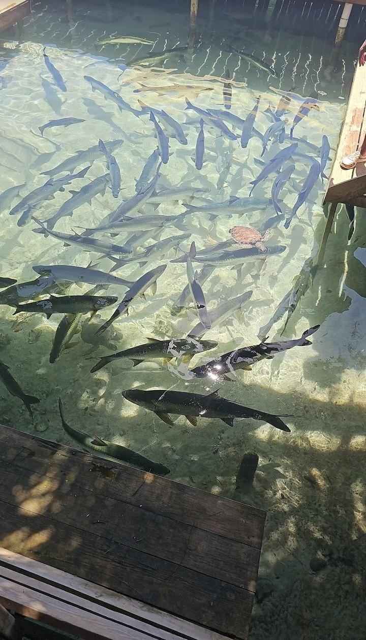 Marevel Tours gallery image